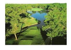 Crown Colony CC