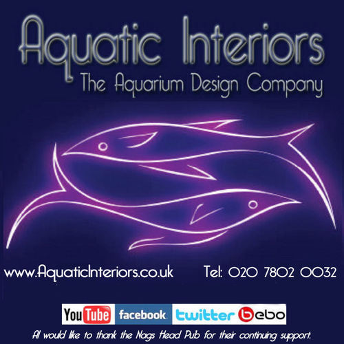 AquaticInterior's profile picture. The UK's first aquarium interior design company! Visit us at http://t.co/1Y7SZco1Da on Facebook/Youtube Join us