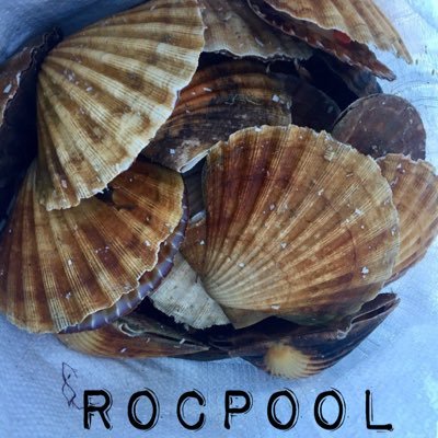 the ONE & ONLY truly ORIGINAL & INDEPENDENT ROCPOOL restaurant established in march 2002
