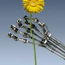 Peter Kim - @iMaplelatte - Twitter