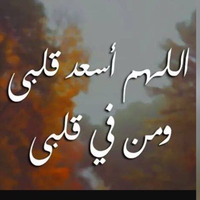 zaid2262015's profile picture. 