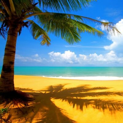 kevin_prami's profile picture. Estudiante