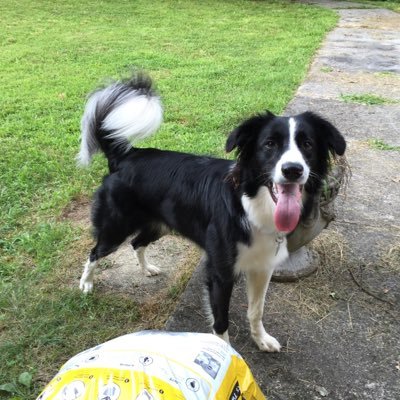 TrivaBrooks's profile picture. 