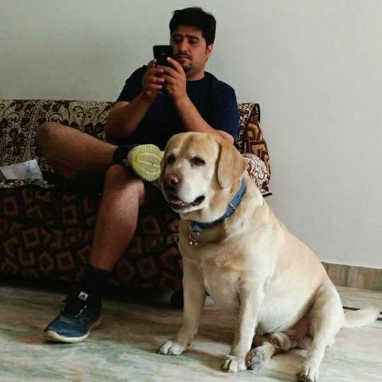 shauryave's profile picture. navigating officer