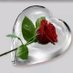 muhee abd (@muheeabd) Twitter profile photo muhee abd (@muheeabd) Twitter profile photo