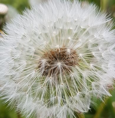 mattbartlett75's profile picture. 