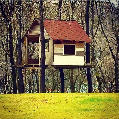 kreativSkole's profile picture. Vil endre skolepolitikken en tweet av gangen. Husk hagefag 🌱🌱🌱