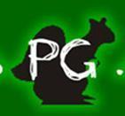 _eventospg Profile Picture