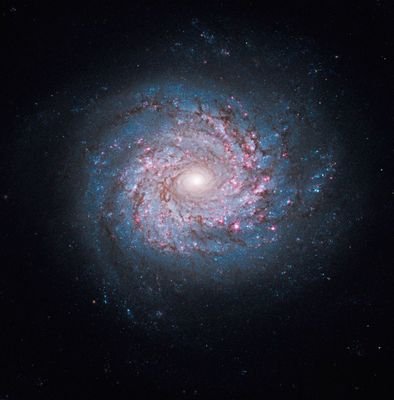 nietofromghetto's profile picture. 