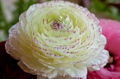 sanghvi17's profile picture. 