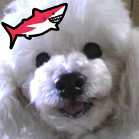 とよあし (@toyo_gim) 's Twitter Profile