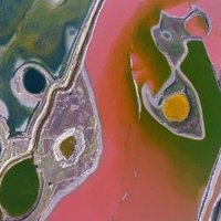 Richard shimell (@richard_shimell) 's Twitter Profile