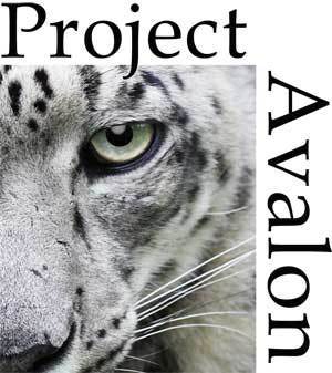 Project Avalon is dedicated to seeking and revealing the truth!