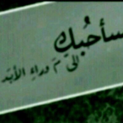 loveemee0's profile picture. ‏‏لُيَتٌگ منْ آلُحٍبْ مآ خـۆفَتٌنْيَ