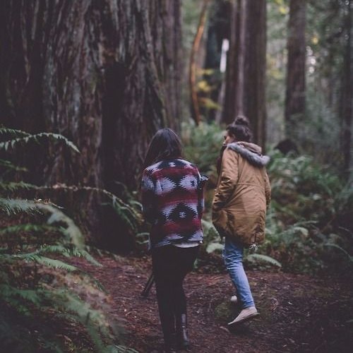 🌲 Discovering the forest🌲@ViajesPerfects