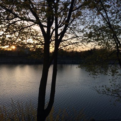 Photography by Irish Lass Love, nature and scenery photos. Find me on Instagram, Facebook and Twitter! :) ❤️🧡💛💚💙💜💖