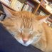 Edouard_ze_cat (@edouard_ze_cat) Twitter profile photo Edouard_ze_cat (@edouard_ze_cat) Twitter profile photo