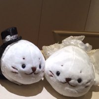 ニャンちゅう (@takayuka0627) 's Twitter Profile