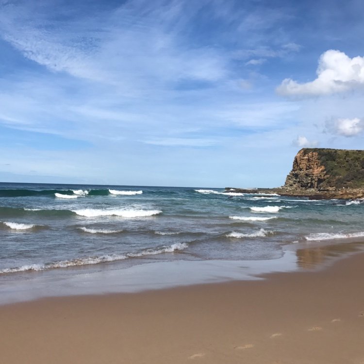 jolynxy's profile picture. 