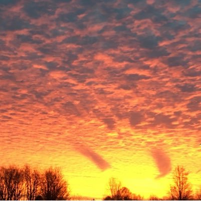 jonesian22's profile picture. 