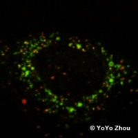 YZ Lab (@_yzlab) 's Twitter Profile Photo