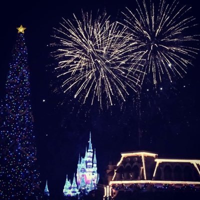 Disney & Orlando obsessed family. Attempting blogs & possibly future vlogs! Instagram: huggysdodisney