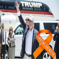 Trump We Trust🇺🇸 (@trumpwetrust) 's Twitter Profile