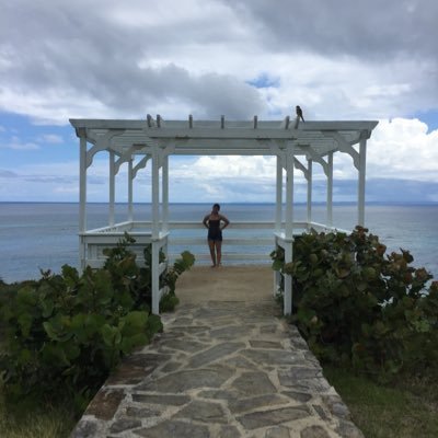 Nhayav20's profile picture. UMD '22