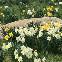 Brenda Costa (@brendagail1140) 's Twitter Profile Photo