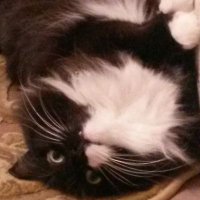 Шо? Хто? (@ivan_131) 's Twitter Profile
