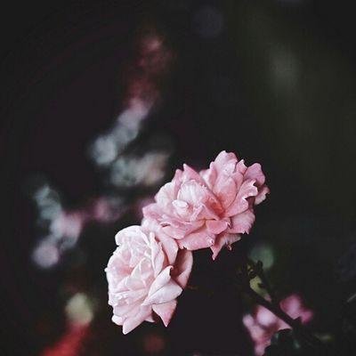 ‏طالبة جامعية