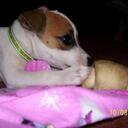 Kim Beyer - @mrskbeyer - Twitter