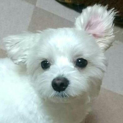 緑山みつるさんのプロフィール画像