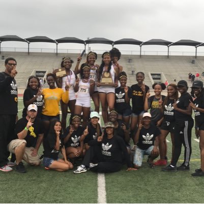 LadyBuffs Track Profile