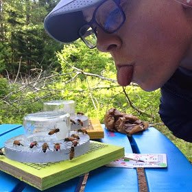 HaileynScofield's profile picture. Co-founder/CEO @beelasers