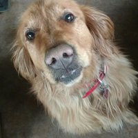 DD (@votedbluein24) 's Twitter Profile Photo