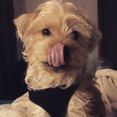 _JV_III's profile picture. 