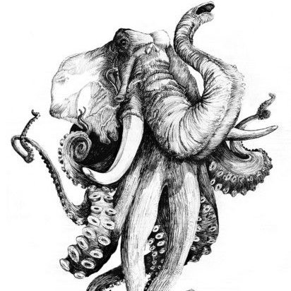 james__lowe's profile picture. 