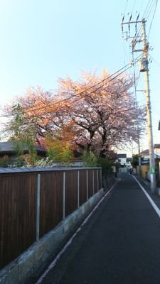 J2ActGWGHdRlbKh's profile picture. 