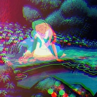 pigeontorres's profile picture. 