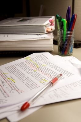 theproessay1's profile picture. 