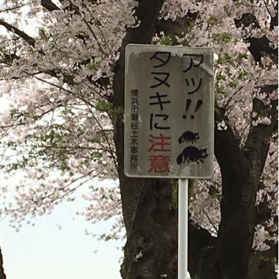 i4DulhRqMQb0sGg's profile picture. 