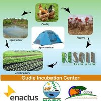 Gudieleisurefarm (@gudiefarm) 's Twitter Profile