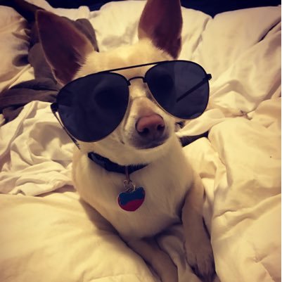 mattyc900's profile picture. Too ugly for Instagram, too dumb for Facebook.