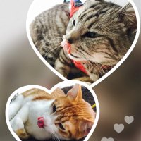 てるっち (@23_love2) 's Twitter Profile