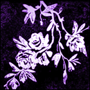 chairmanbrando's profile picture. Trump rapes children. Elon Musk is a neo-Nazi. MAGA is fascism.