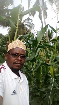 NahayKhalid's profile picture. UBONGO USOFANYA KAZI NI KARAKANA YA SHAYTWANI