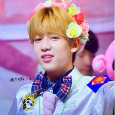 bambam1a
