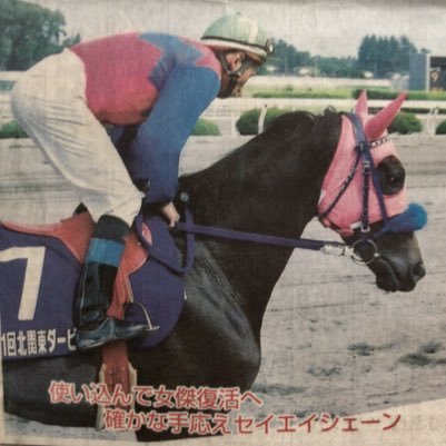 １日１回２２時過ぎに、地方競馬開催成績を売得ベースでつぶやきます。何かあれば製作者( @itou_cheerio )まで