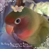*̥₊˚＊なおがし＊˚₊*̥ (@paragasi12) Twitter profile photo